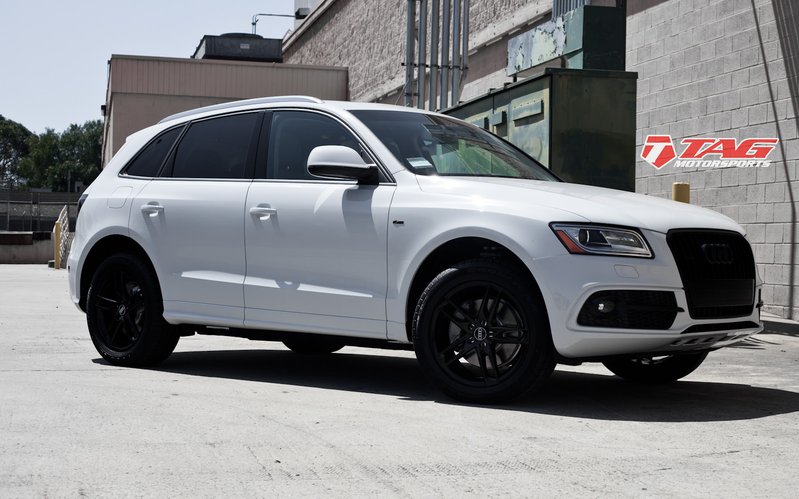 2013 Audi Q5 - TAG Blackout Package - TAG Motorsports.