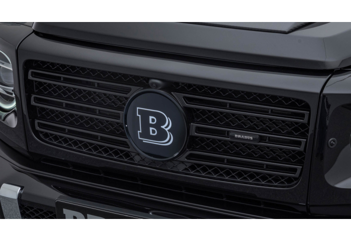 Braunschwerg Vbf エンブレム 68 69 Ford Fairlane Quarter Panel Emblem C8OB-54291B62-A #4