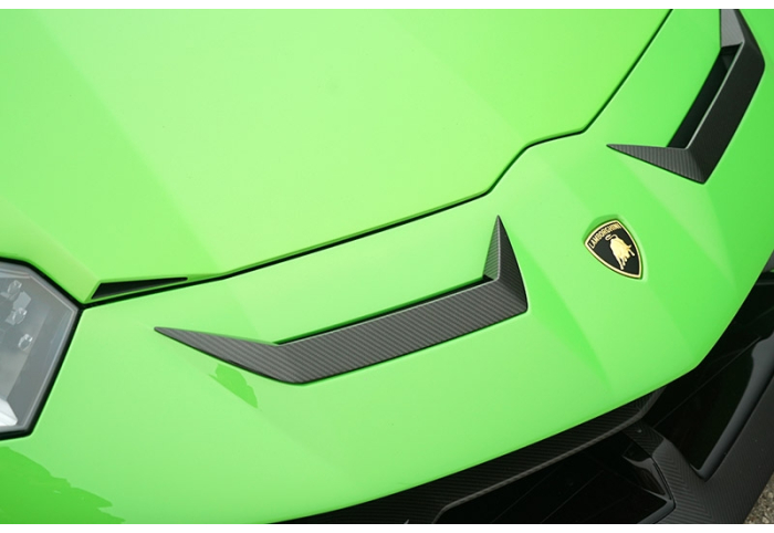 格安 Lamborghini カーボンエンジンプレート SVJ Aventador アクセサリー