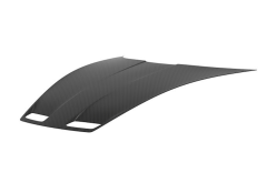 1016 Carbon Hood for 992 GT3