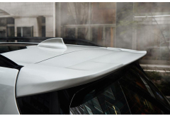 3D Design Roof Spoiler for BMW X7