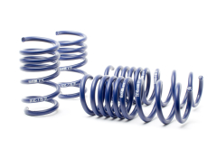 H&R Sport Springs for 17+ Audi R8 Coupe