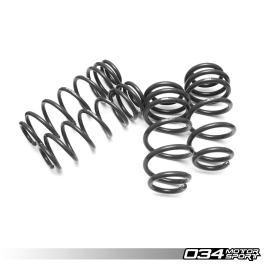 経典 Springs Lowering Dynamic+ Motorsports 034 for S4 Audi B8/8.5 パーツ