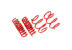 AST Lowering Springs for Tesla Model Y Long Range / Performance AWD
