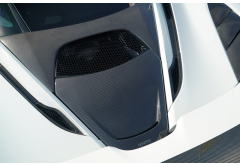 Novitec McLaren 720S Carbon Center Air Intake Cover
