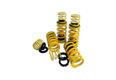 Novitec GTC4 Lusso Lowering Spring Set