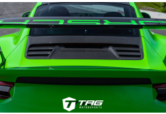 TechArt Carbon Rear Engine Panel for 991.2 GT3RS