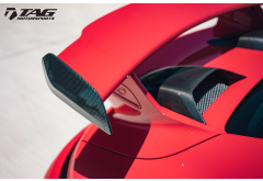 TechArt Carbon Fiber Winglets (Wing End Plates) for 991.2 GT3