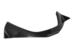 Novitec Carbon Rear Cover for Ferrari 296