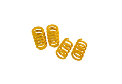 Novitec Lamborghini Revuelto Sport Springs