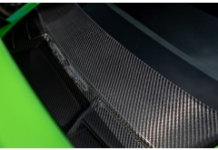 1016 Carbon Engine Intake Cover for 991.2 GT3 RS