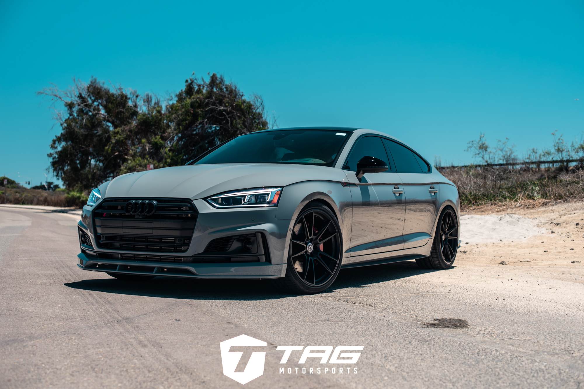 19' S5 Sportback on HRE FF04 Wheels