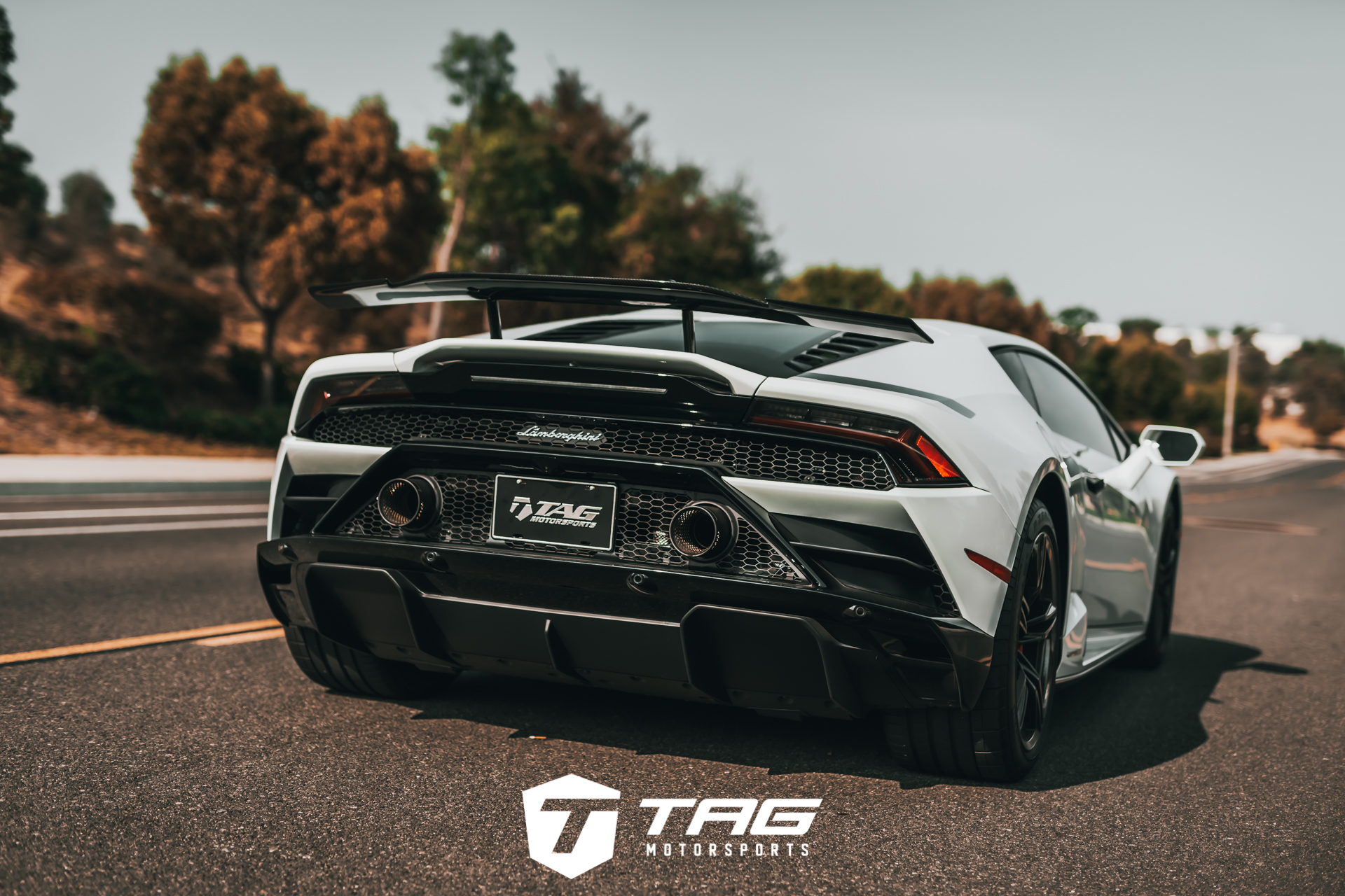 Huracan EVO with Novitec Carbon Rear Wing