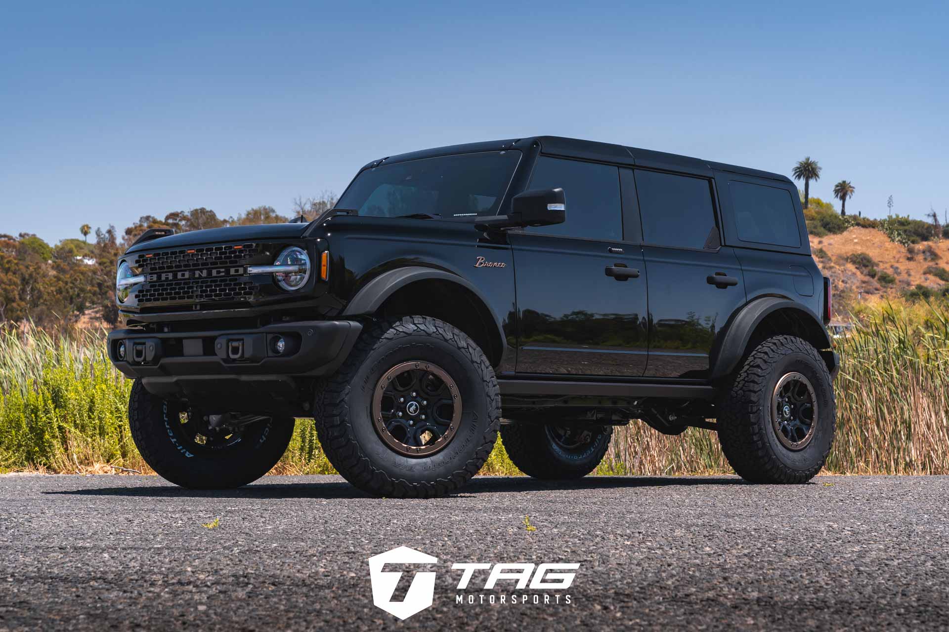 Bronco with Bronze Painted Trim