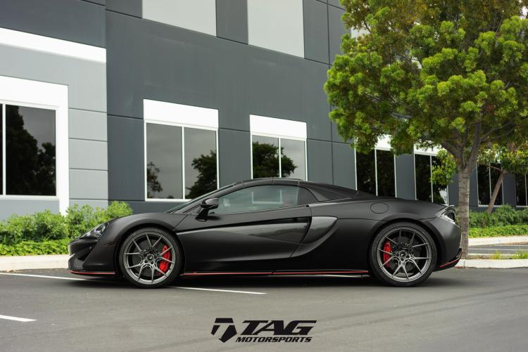 マウル　サーベイランス　フェード　スペシャルエディション マウル サーベイランス フェード スペシャルエディション